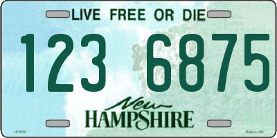 NH license plate 1236875