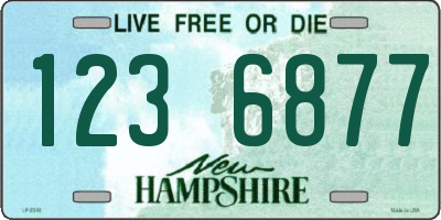 NH license plate 1236877