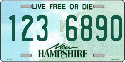 NH license plate 1236890