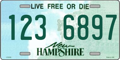 NH license plate 1236897