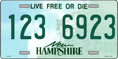 NH license plate 1236923