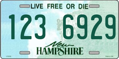 NH license plate 1236929