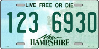 NH license plate 1236930