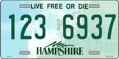 NH license plate 1236937