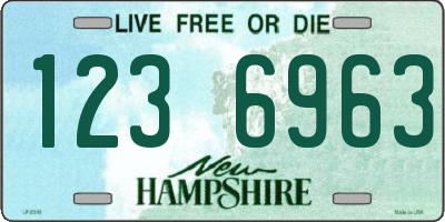 NH license plate 1236963