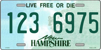 NH license plate 1236975