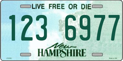 NH license plate 1236977