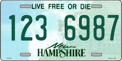 NH license plate 1236987