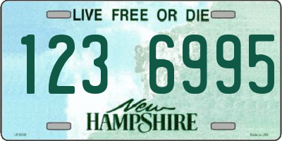 NH license plate 1236995