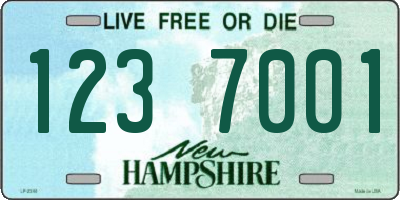 NH license plate 1237001