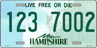 NH license plate 1237002