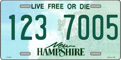 NH license plate 1237005
