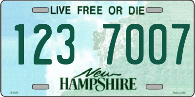 NH license plate 1237007