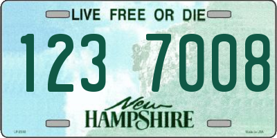 NH license plate 1237008
