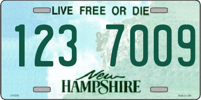 NH license plate 1237009