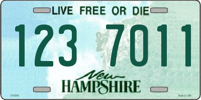 NH license plate 1237011