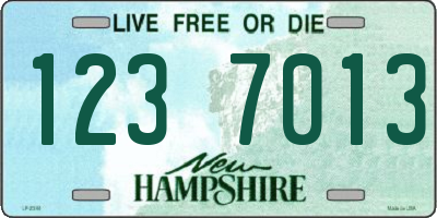 NH license plate 1237013