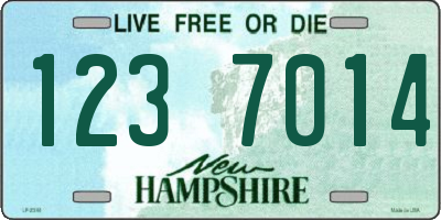 NH license plate 1237014