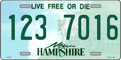 NH license plate 1237016