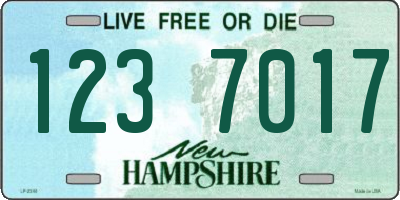 NH license plate 1237017