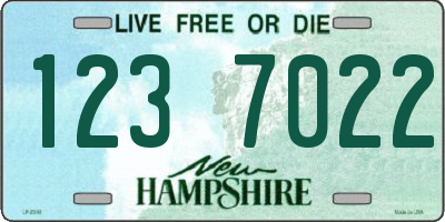NH license plate 1237022