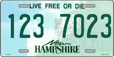 NH license plate 1237023