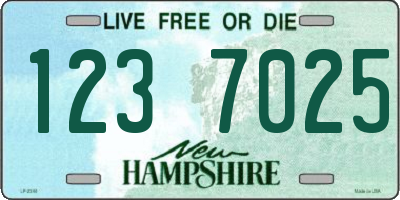 NH license plate 1237025