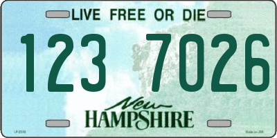 NH license plate 1237026
