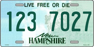 NH license plate 1237027