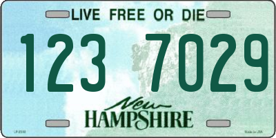 NH license plate 1237029