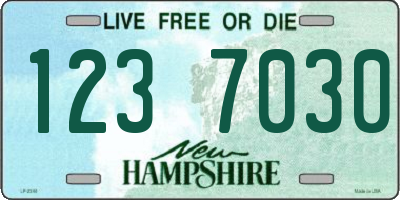 NH license plate 1237030