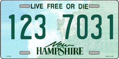NH license plate 1237031