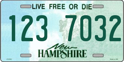 NH license plate 1237032