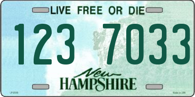 NH license plate 1237033
