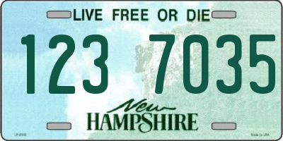 NH license plate 1237035