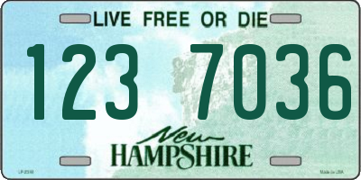NH license plate 1237036