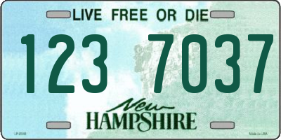 NH license plate 1237037