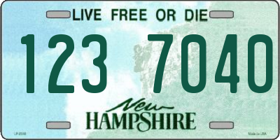NH license plate 1237040