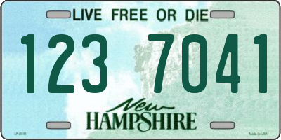 NH license plate 1237041