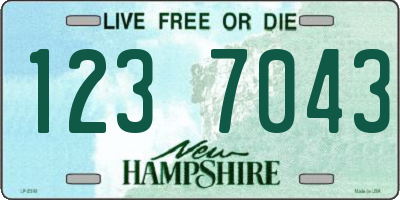 NH license plate 1237043