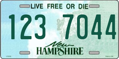 NH license plate 1237044