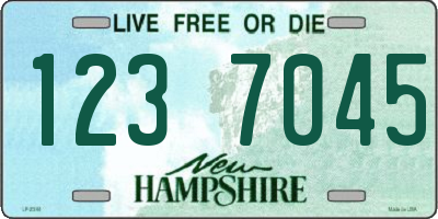 NH license plate 1237045