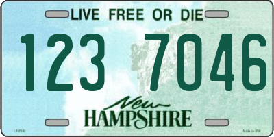 NH license plate 1237046