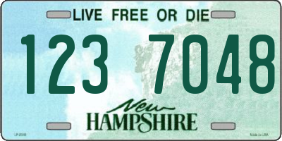 NH license plate 1237048