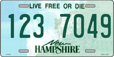 NH license plate 1237049