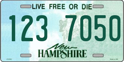 NH license plate 1237050