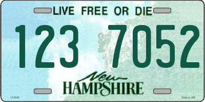 NH license plate 1237052