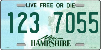 NH license plate 1237055