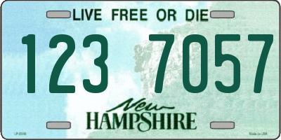 NH license plate 1237057