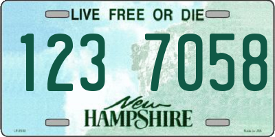 NH license plate 1237058